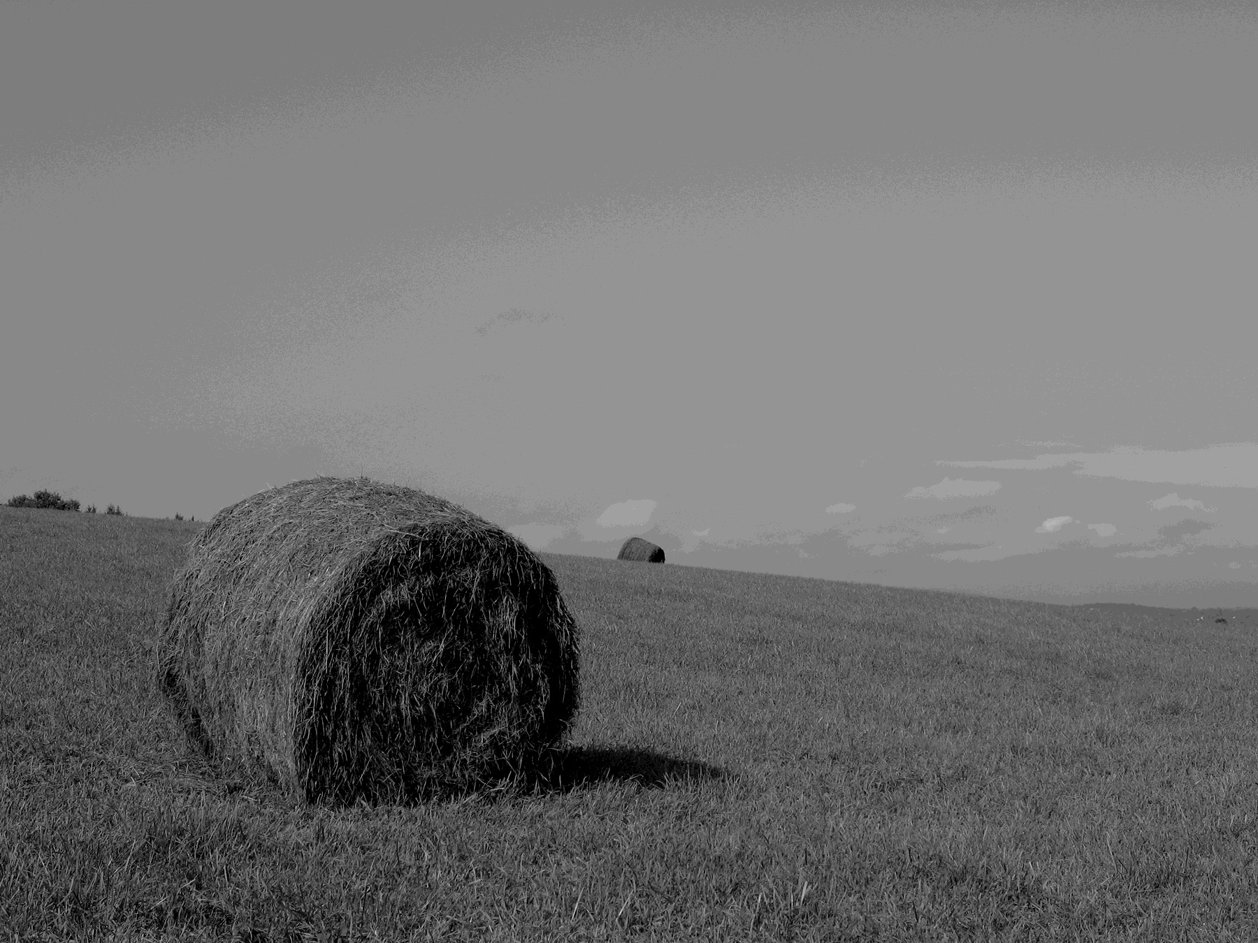 Hay Bale